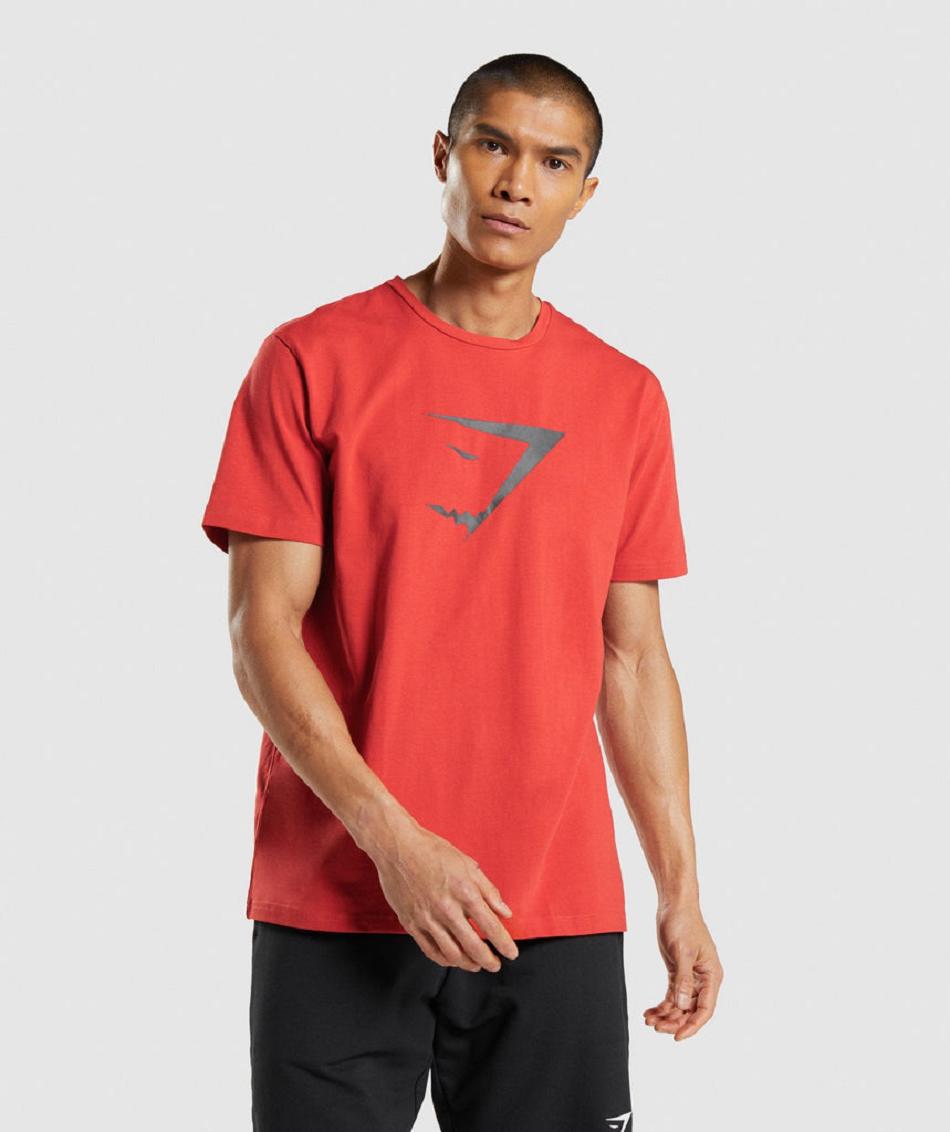 T Shirts Gymshark Sharkhead Infill Hombre Rojas | CO 3420QMA